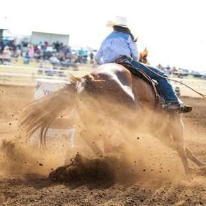 Meet your Posher, Raylee